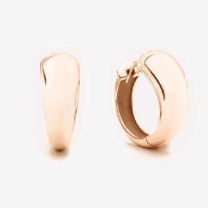 Hiroko Maxi Earrings